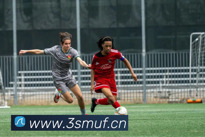 乐鱼网页版登录入口app品牌故事